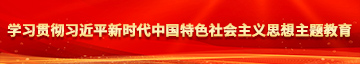 白丝美女被猛操学习贯彻习近平新时代中国特色社会主义思想主题教育